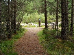 Image on trail
